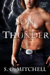 Son of Thunder - Steven Mitchell